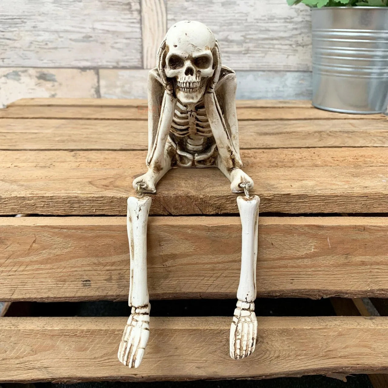 Skeletal figure sitting on a wooden surface with a rustic background