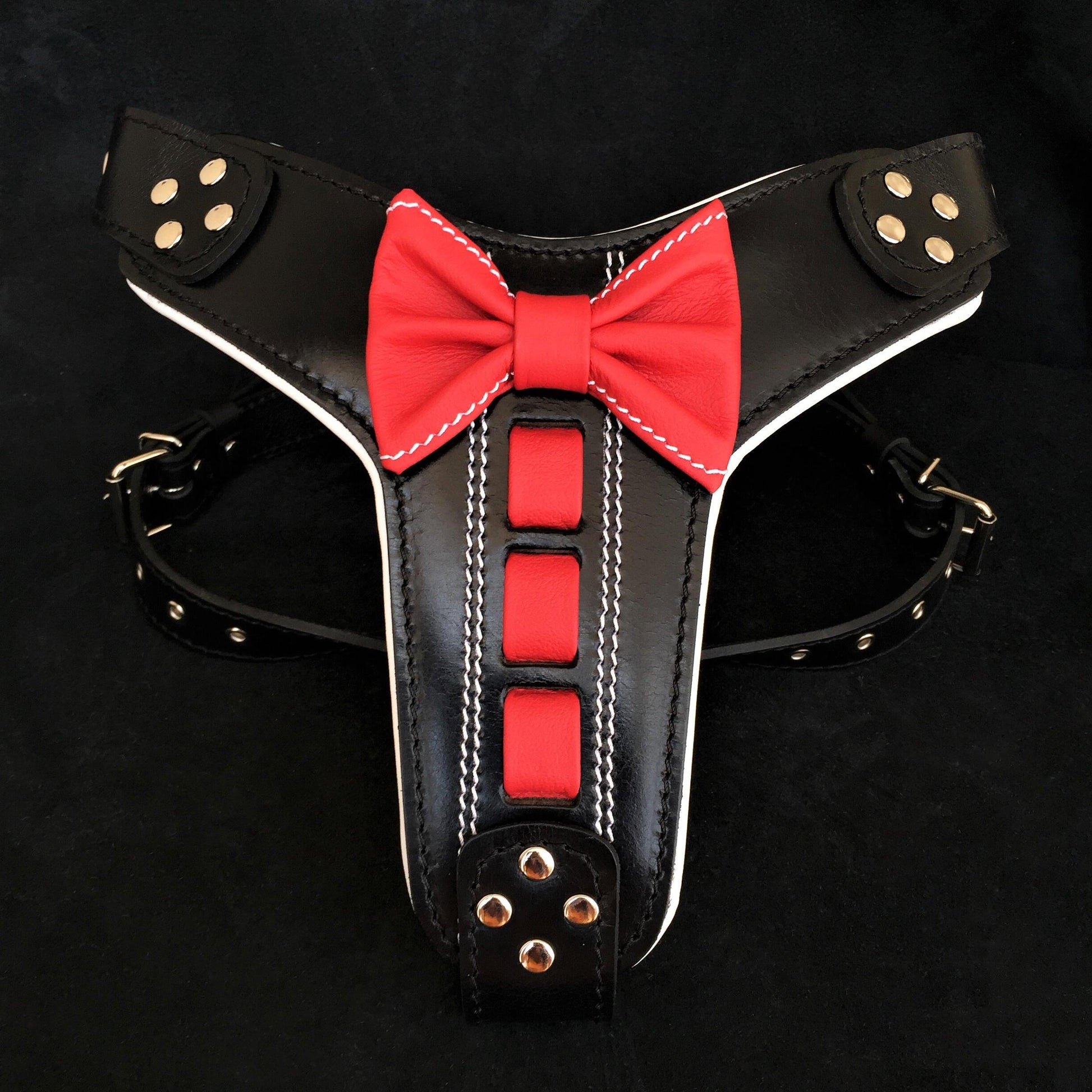 Black leather harness with red bow tie and studs on a black background