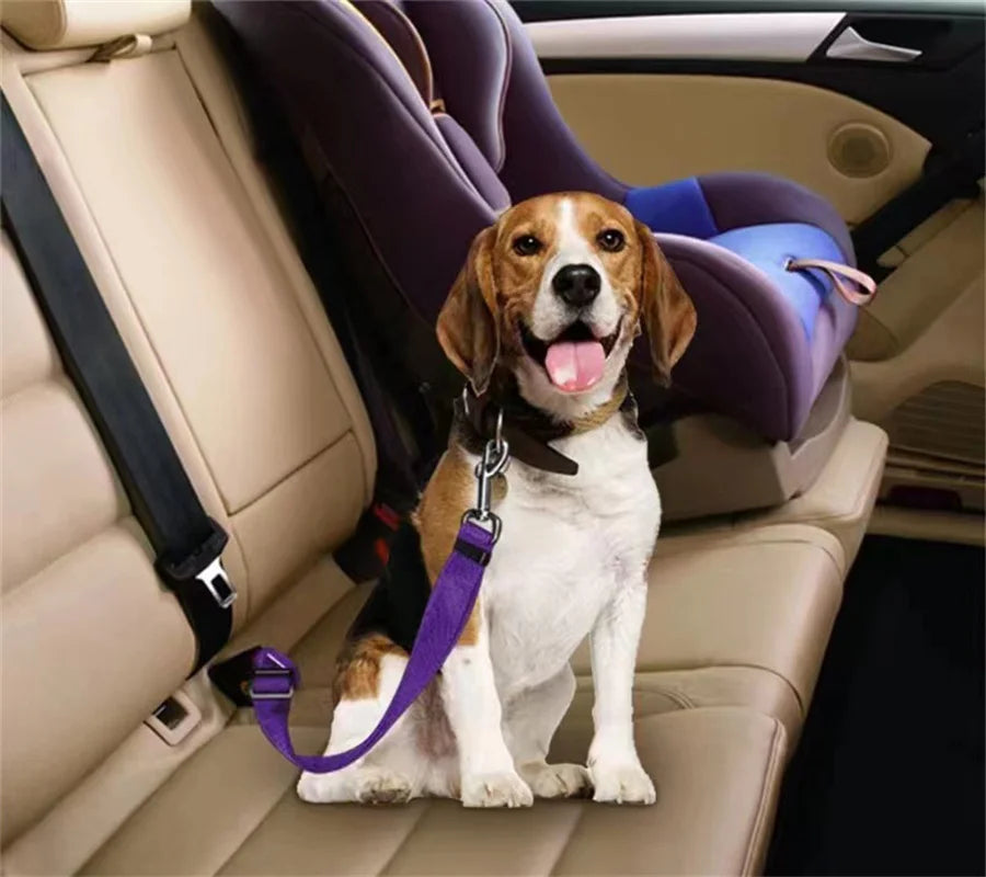 Pet Cat Dog Car Seat Belt Suitable for Universal Safety Buckle Adjustable Safety Rope Dog Car Seat Belts Dog Accessoires