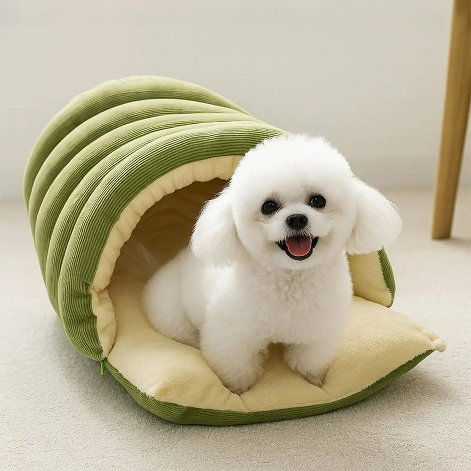 Small white dog sitting inside a green and beige pet tunnel on a light floor.