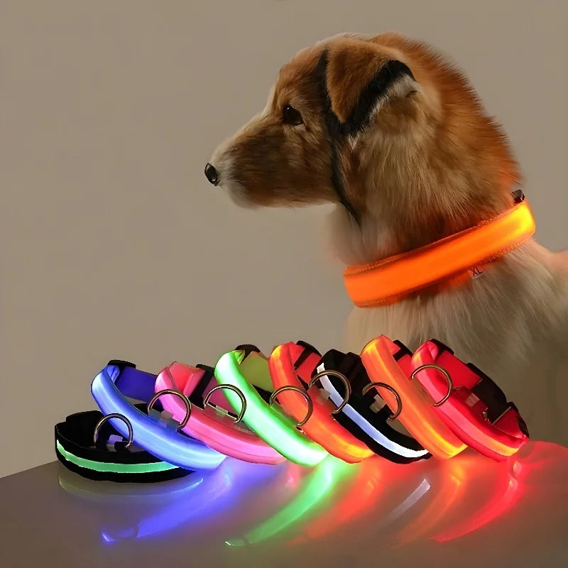 Dog wearing a glowing orange collar with colorful collars displayed in front.