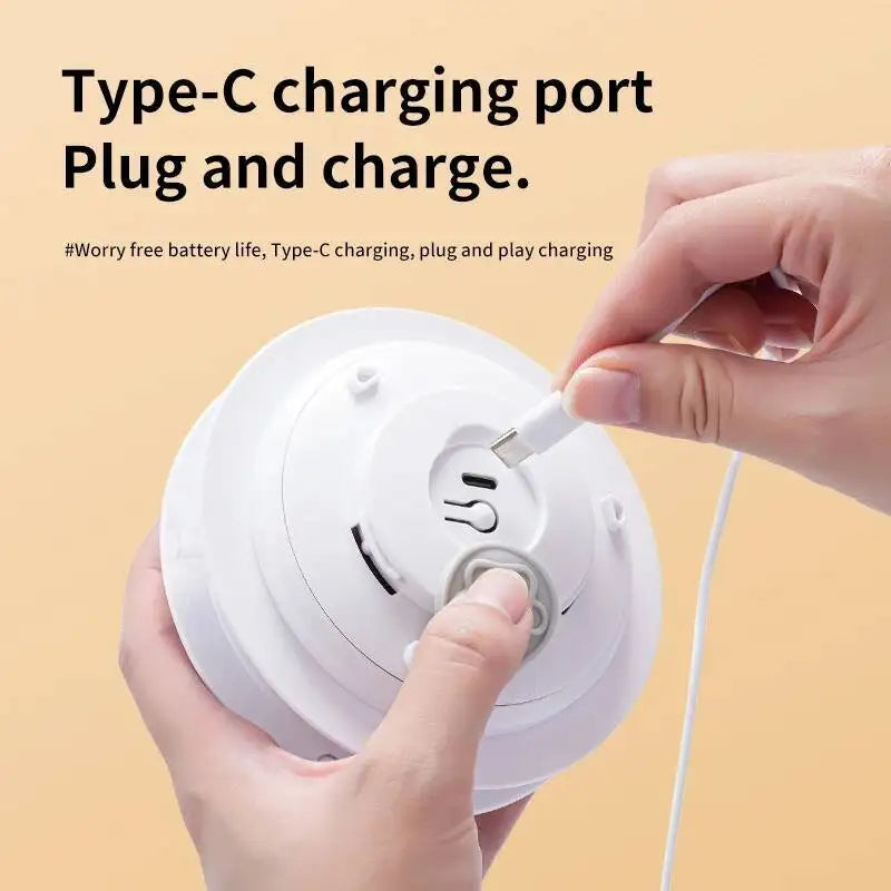 Interactive Feather Toy for Cats