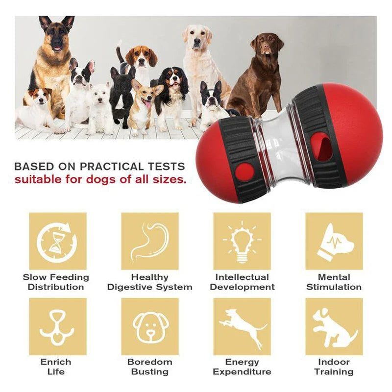 Dog toy with text and icons indicating benefits for dogs' health and development.