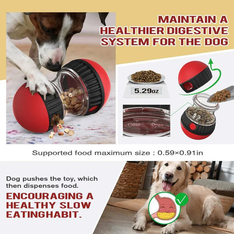 Dog toy with food dispenser and text about maintaining a healthier digestive system for dogs.