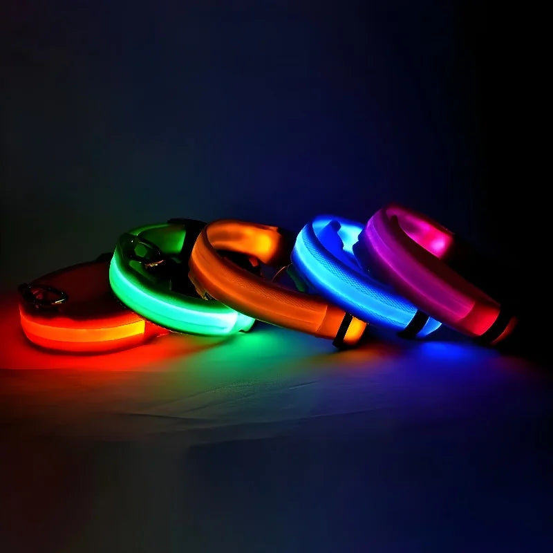 Four colorful LED dog collars on a dark background