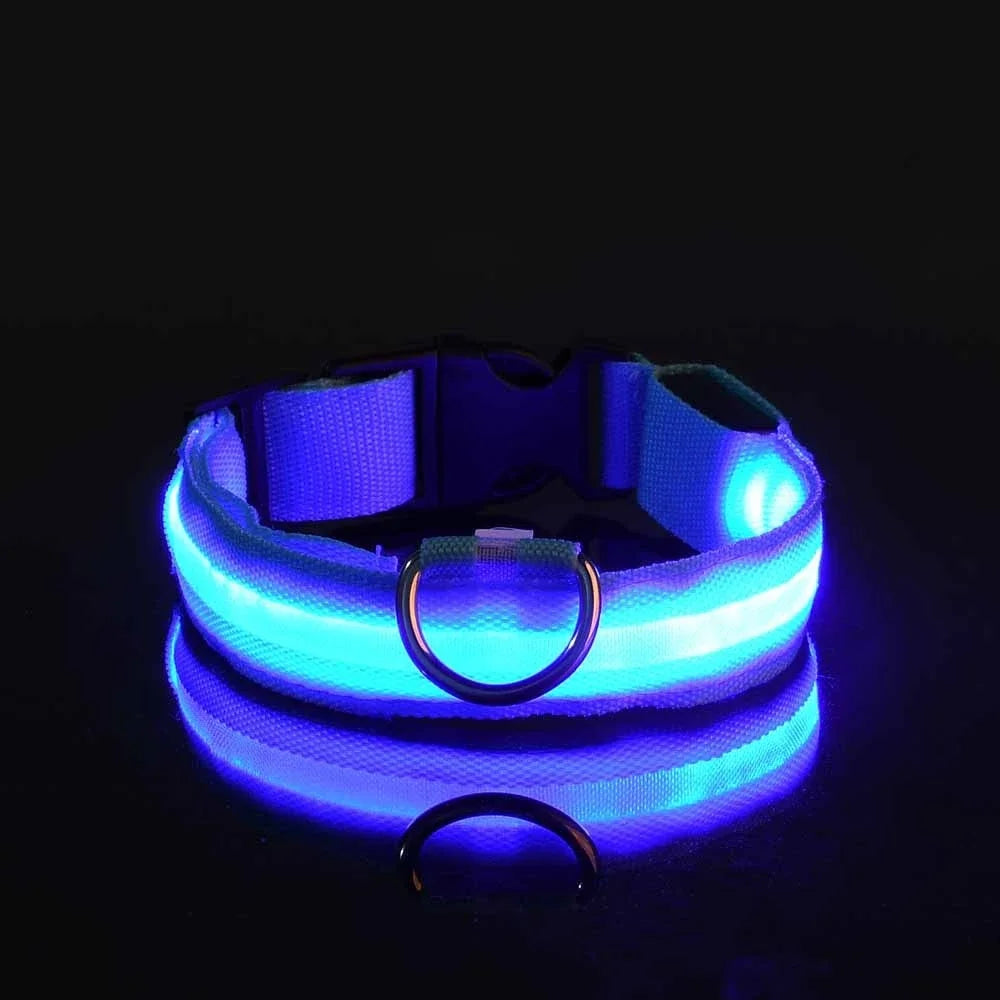 Blue LED dog collar on a black background