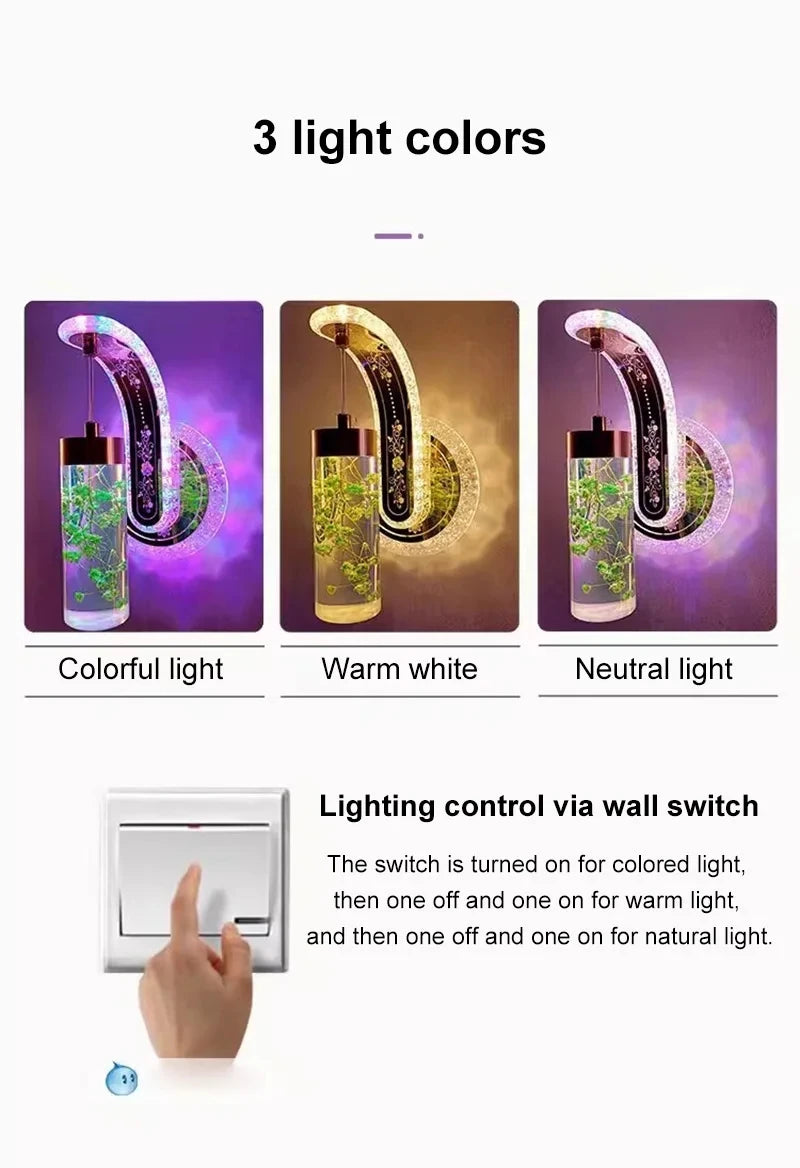 Lighting control system with three light color options and a wall switch illustration.