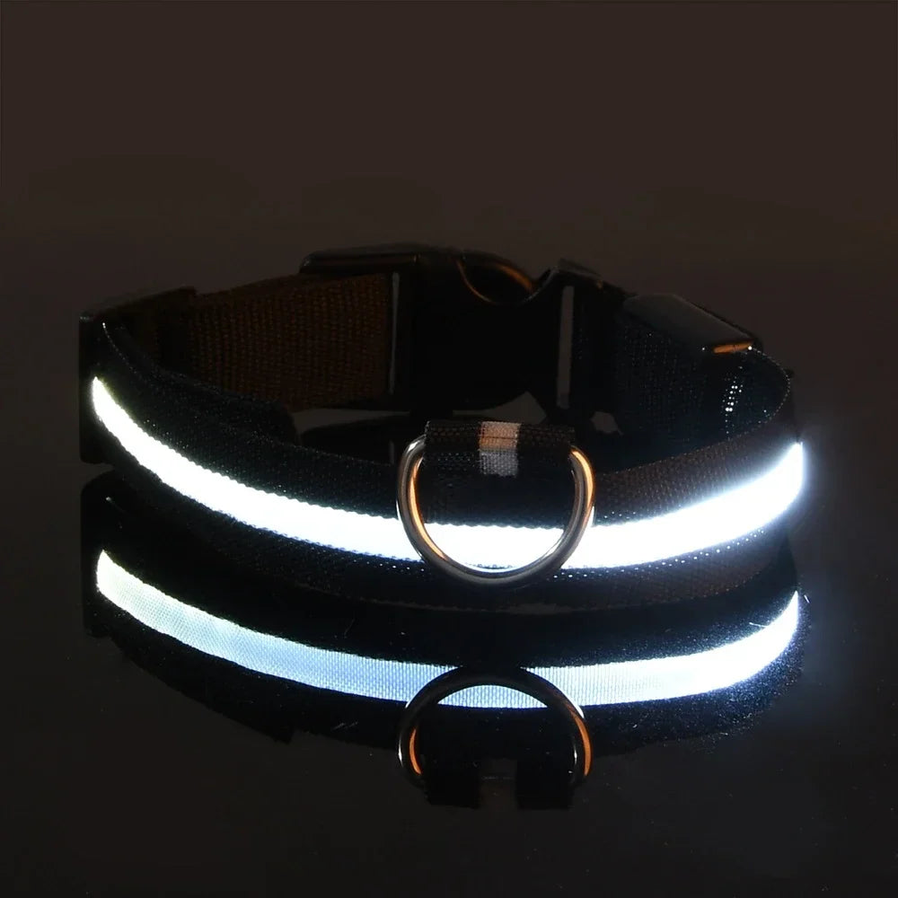 Reflective dog collar with LED lights on a black background