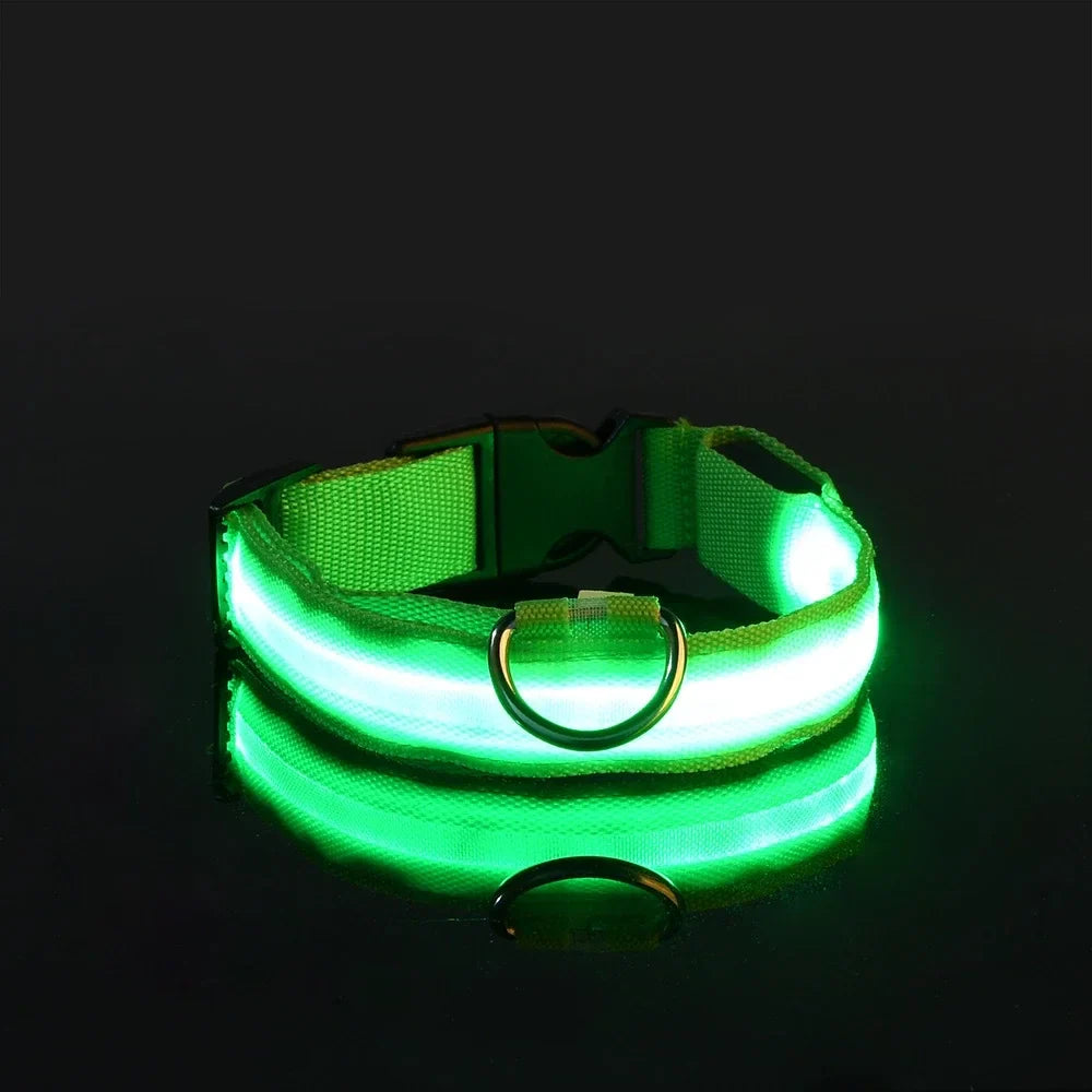 Green LED dog collar on a black background
