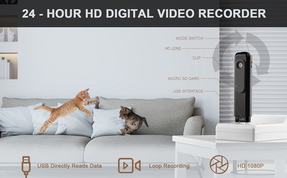 24-hour HD digital video recorder with a living room setting featuring two cats on a couch.