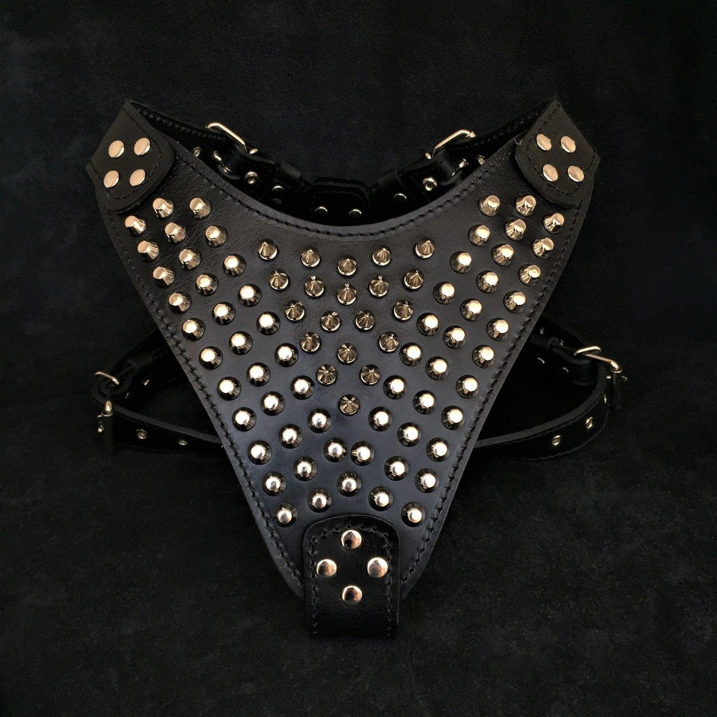 Black leather harness with gold studs on a dark background