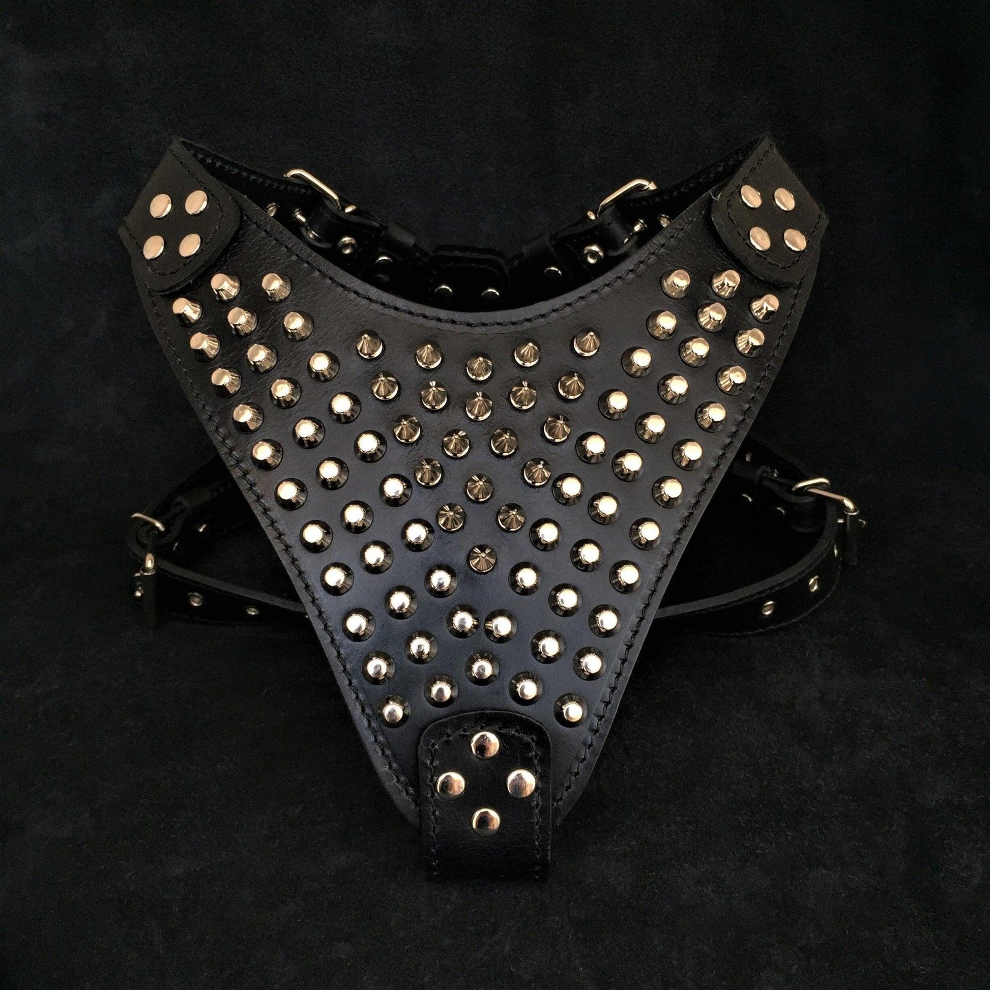 Black leather harness with gold studs on a dark background